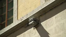 Radius versione doppia