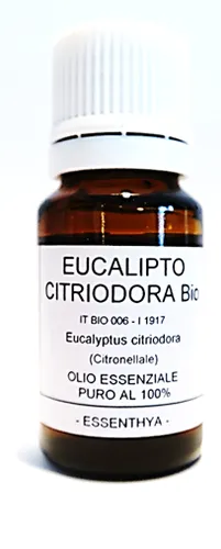 Eucalipto citriodora BIO