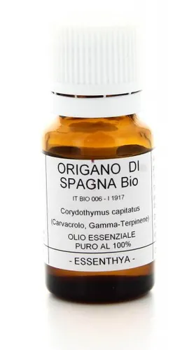 Origano di Spagna BIO