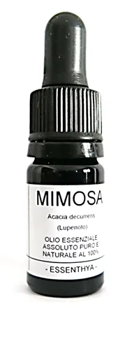 Olio essenziale di Mimosa
