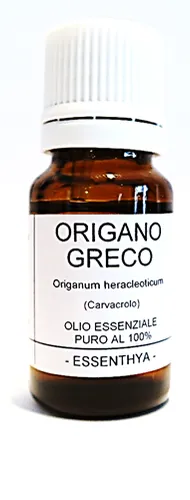 ORIGANO DI GRECIA