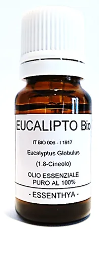 Eucalipto BIO