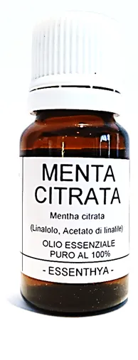 Menta Citrata o Limone