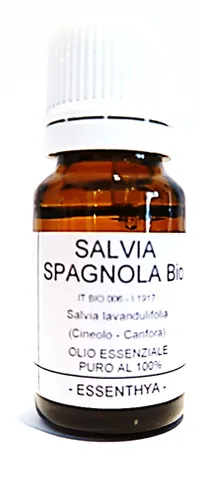 Salvia spagnola BIO
