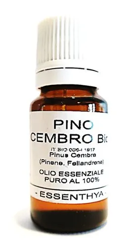 Pino Cembro BIO