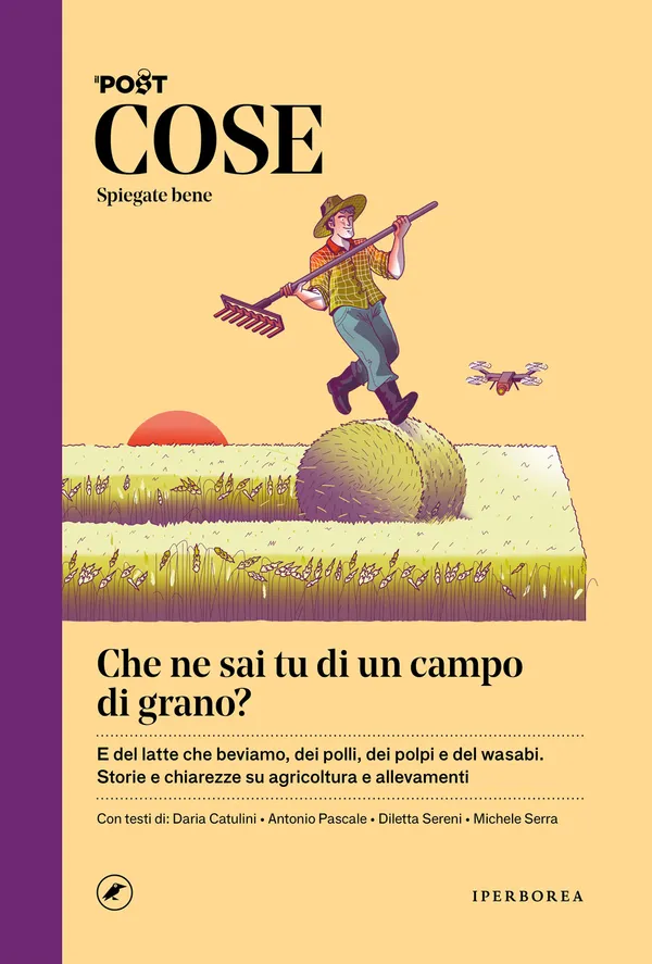 Cose spiegate bene