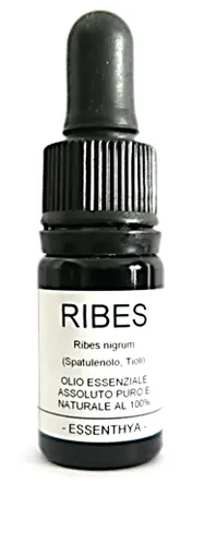 Olio essenziale di Ribes
