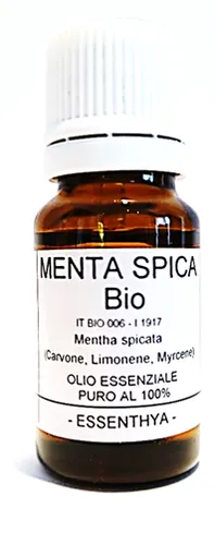 Menta Spica BIO