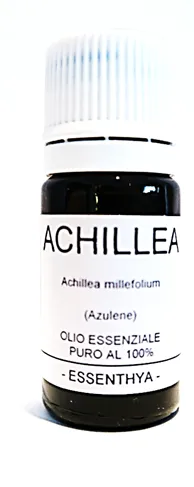 Achillea