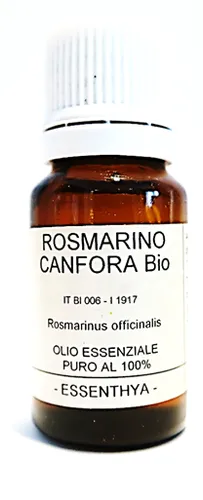 Rosmarino a canfora BIO