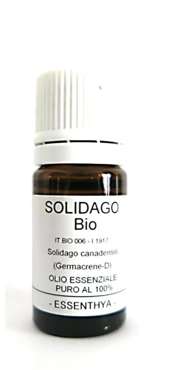 Solidago BIO