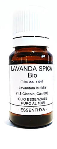 Lavanda Spica BIO