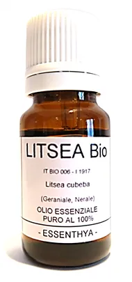 Litsea