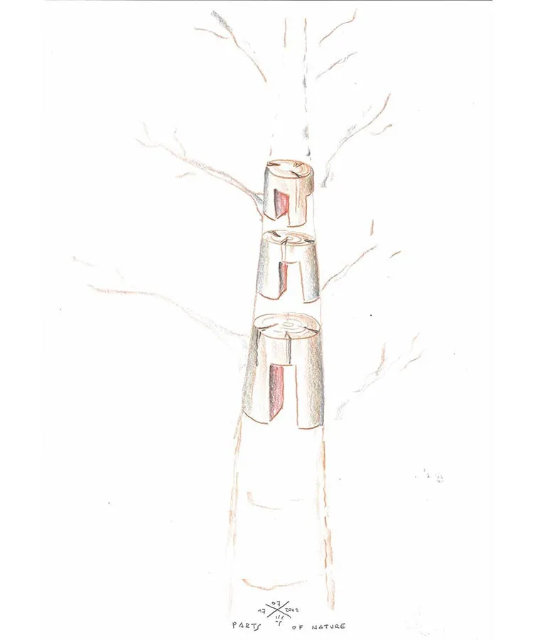 sketch woody