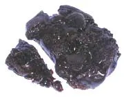 TOLU' Balsamo