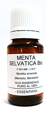 Menta selvatica BIO