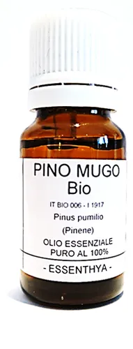 PINO MUGO BIO