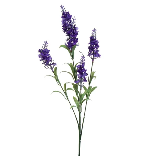 Lavanda maillette BIO