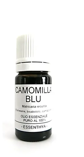 Camomilla blu BIO
