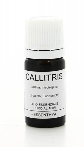 Callitris