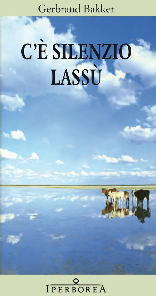 C'è silenzio lassù
