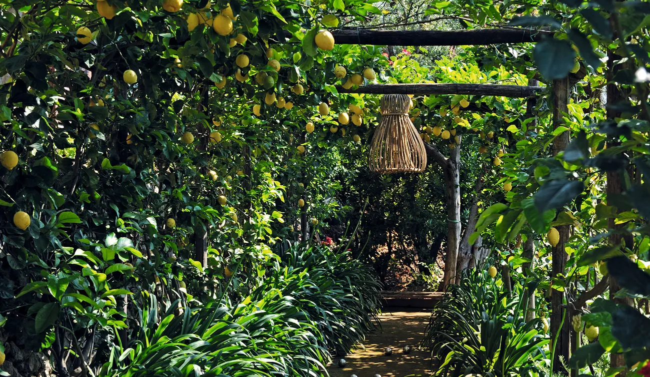 Luxury Villa - Capri (IT)