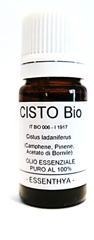 Cisto BIO