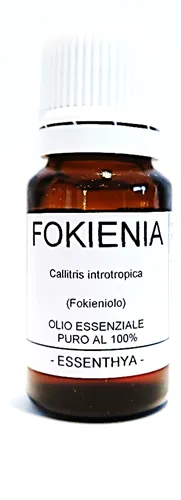 Fokiena