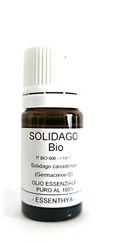 Solidago BIO