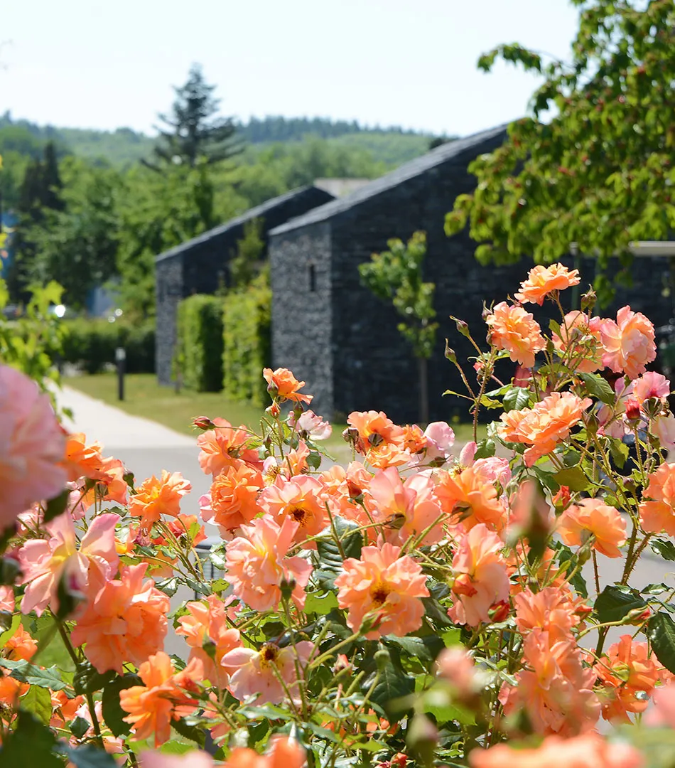 Winery Guest Houses, Longuich (DE)
