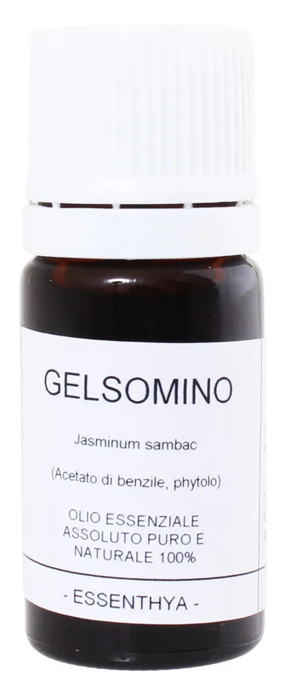 Gelsomino