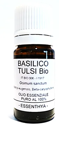 Basilico Santo o Tulsi BIO