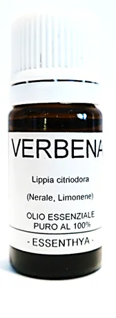 Verbena