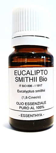 Eucalipto smithii