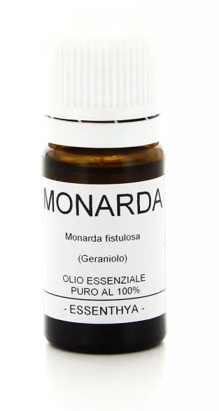 Monarda