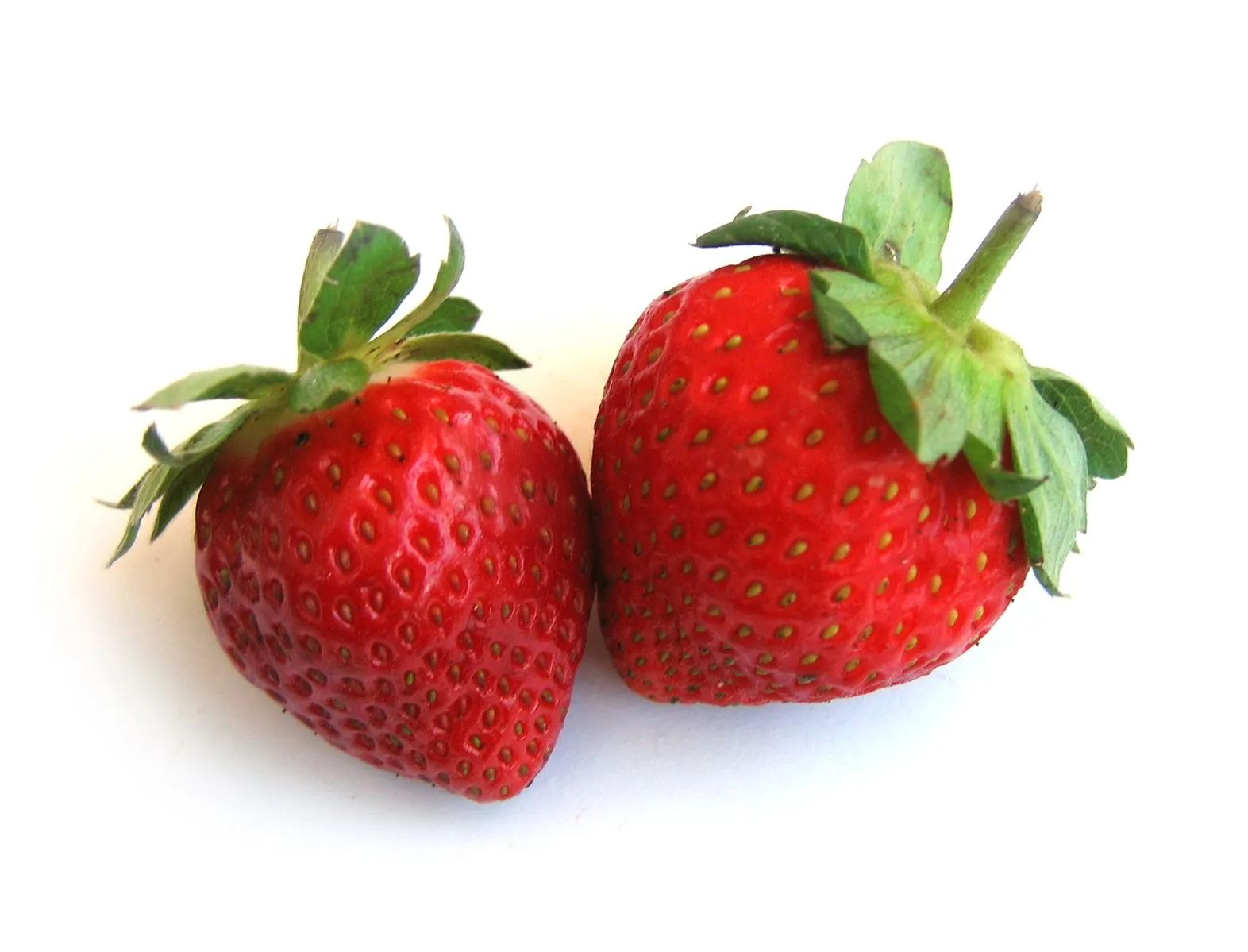 NOVITA'! NUOVI OLI ESSENZIALI E VEGETALI ESSENTHYA. SCOPRILI!