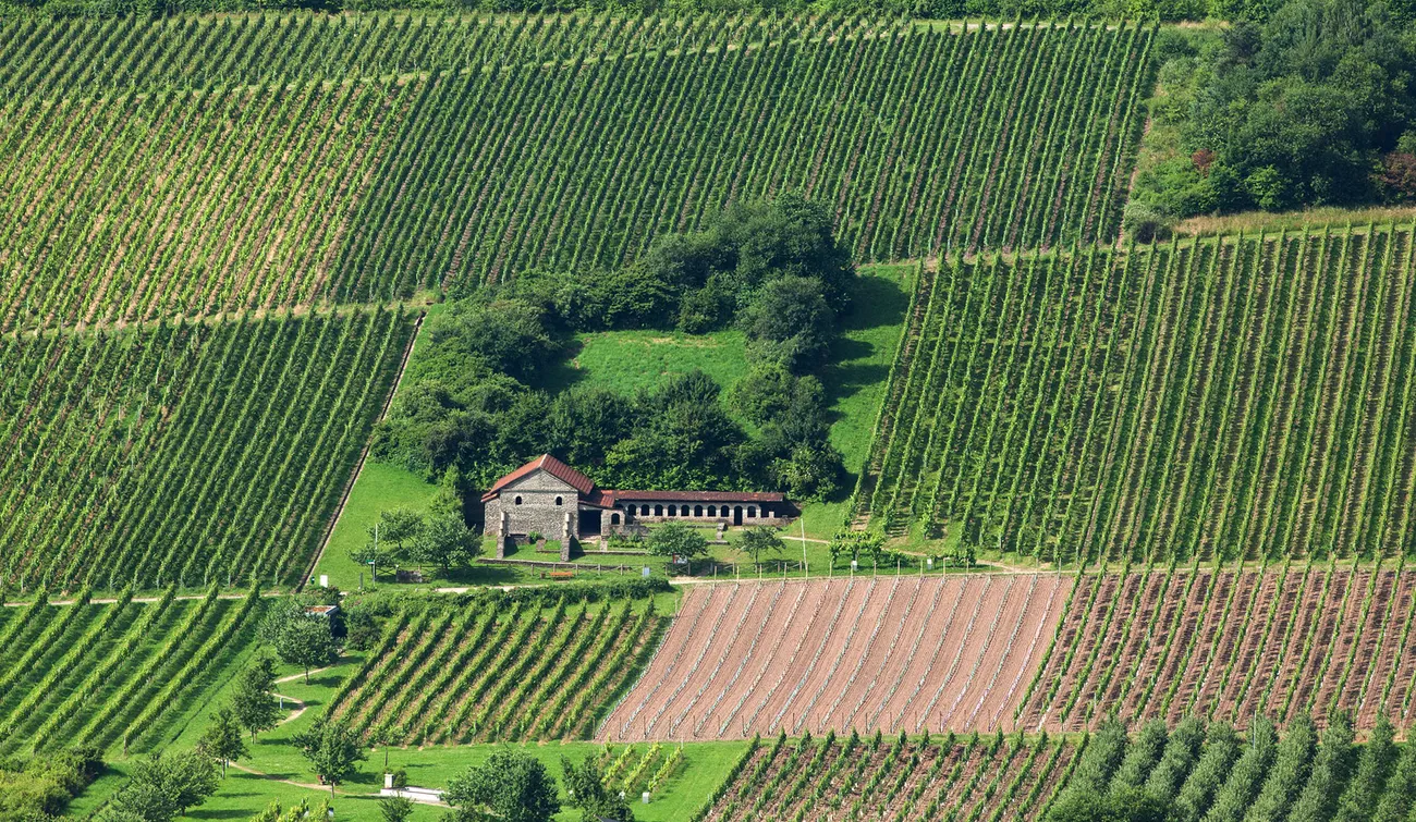 Winery Guest Houses, Longuich (DE)