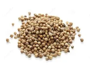 Coriandolo