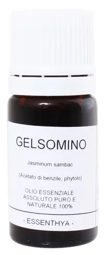 Gelsomino