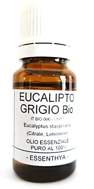 Eucalipto grigio Bio
