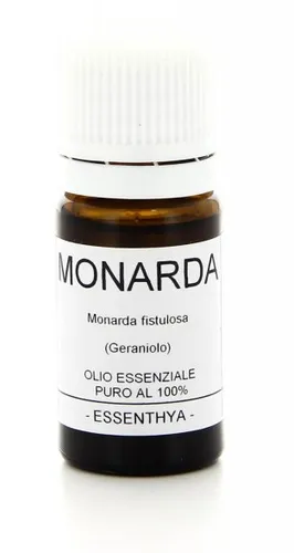 Monarda