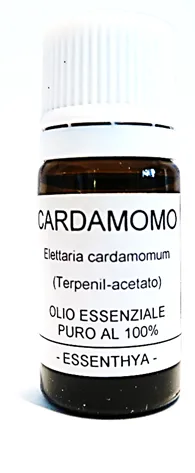 Cardamomo