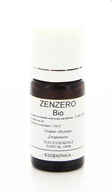 Zenzero BIO