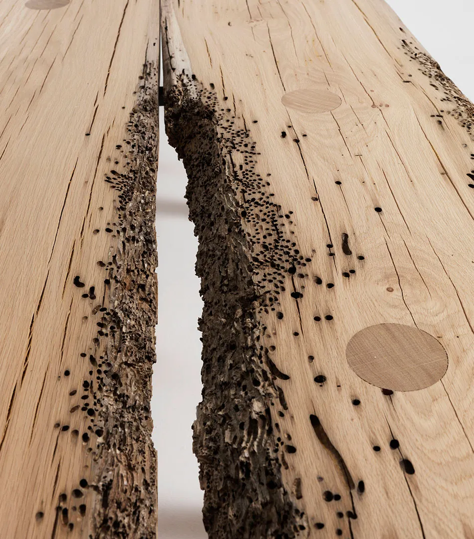 Briccole detail, table for Riva 1920, 2009