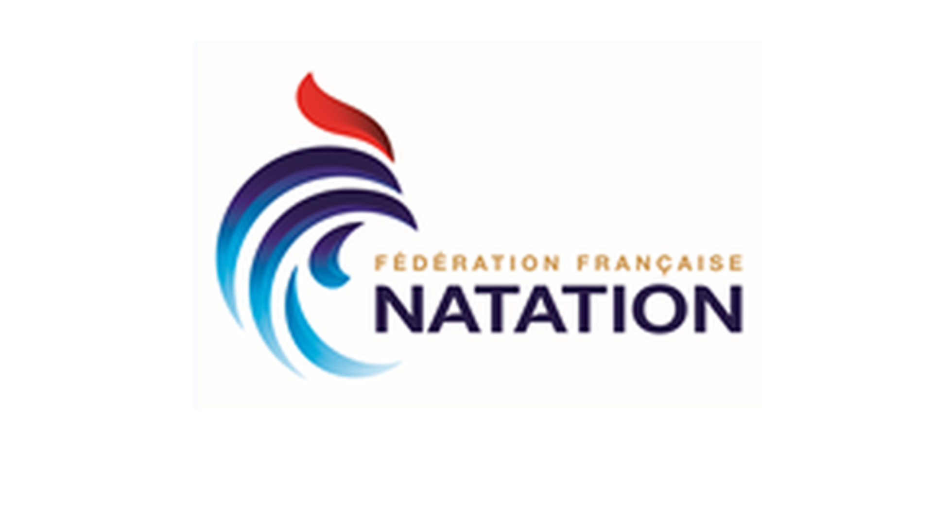 FFN-e1584861052940.png
