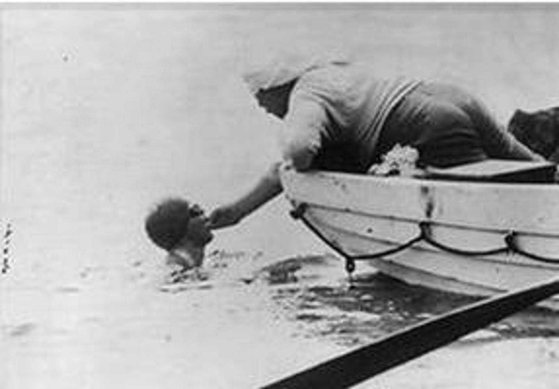 NPC_immagine per sito (2)