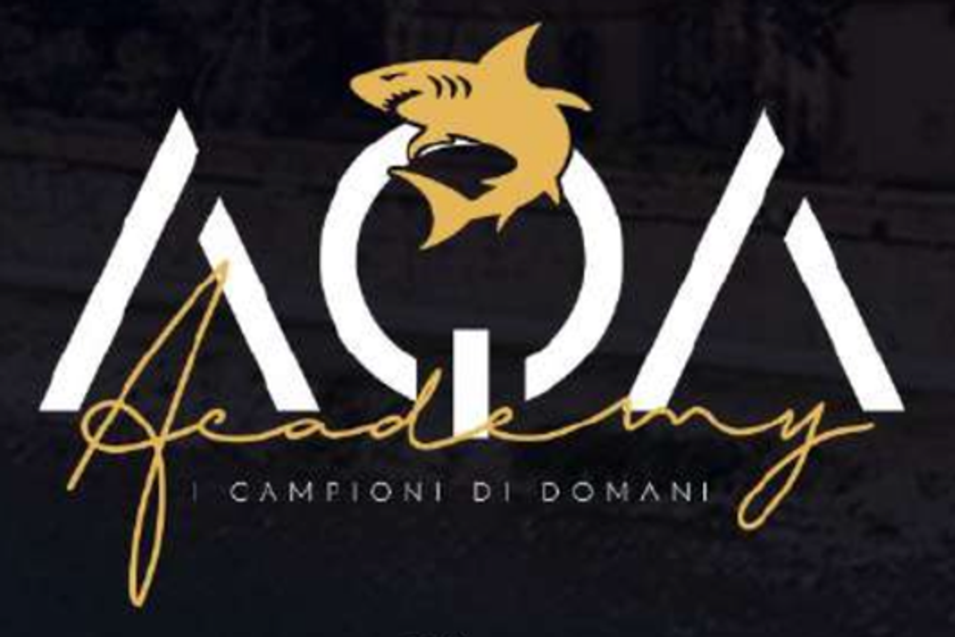 Schermata 2024-05-13 alle 10.47.22