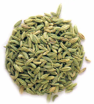 Finocchio